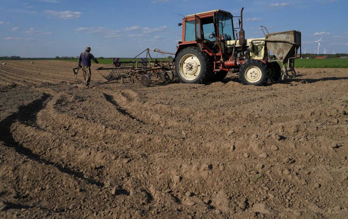 Аграрним підприємствам суттєво пом’якшили умови для бронювання працівників