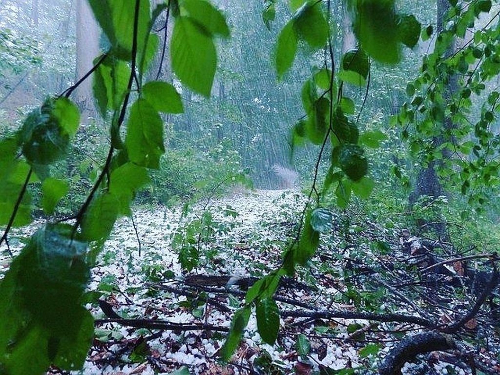 В Україні очікуються дощі та шквали: прогноз погоди на вихідні (відео)