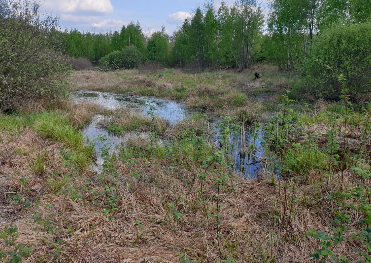 Від мін – до болота: як будують військове кладовище на Київщині