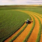 Хлопці напихають собі кишені: в аграрному комітеті Ради зацікавились схемами у Держзембанку