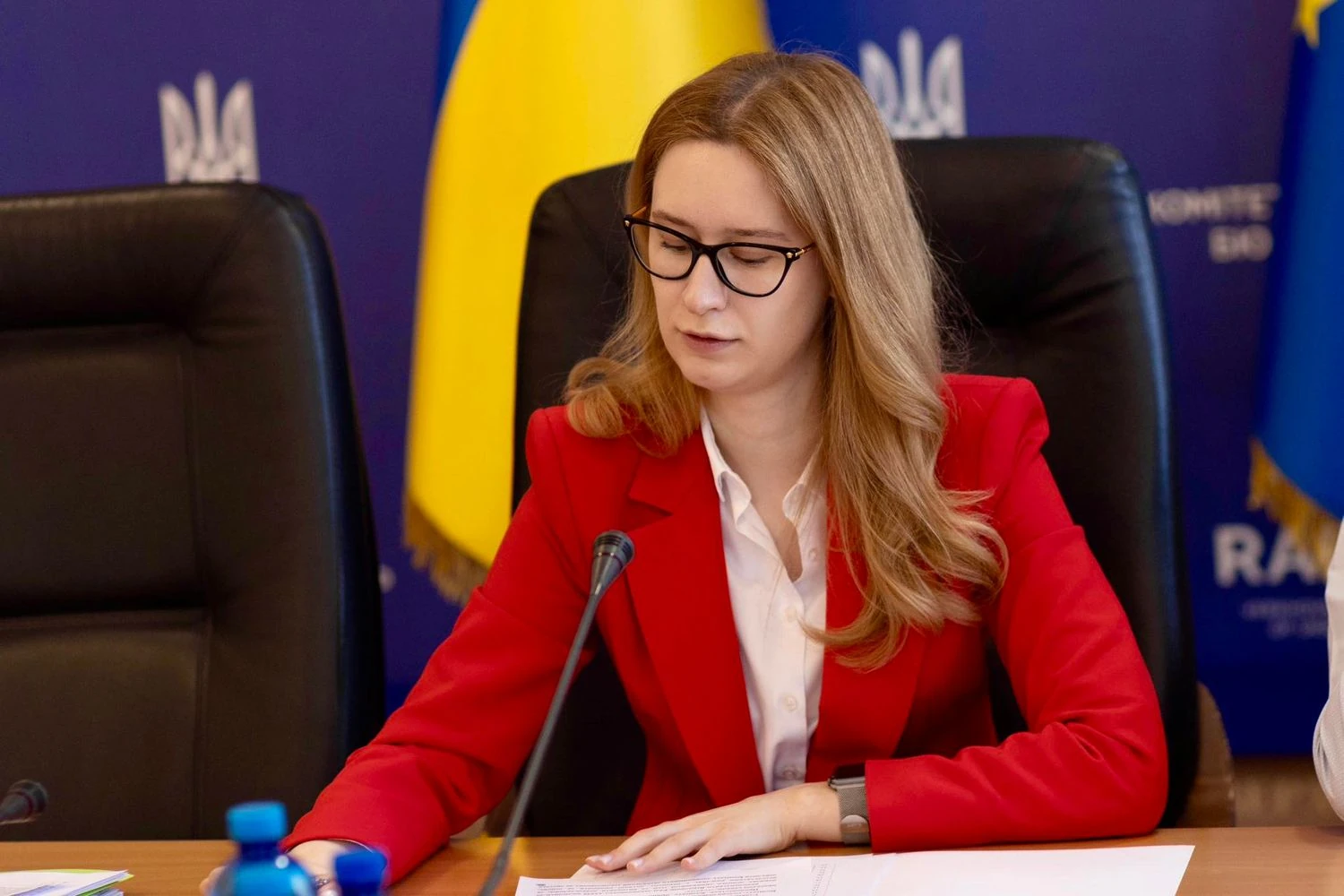 Підласа розповіла, які внески буде робити Україна до ЄС після вступу
