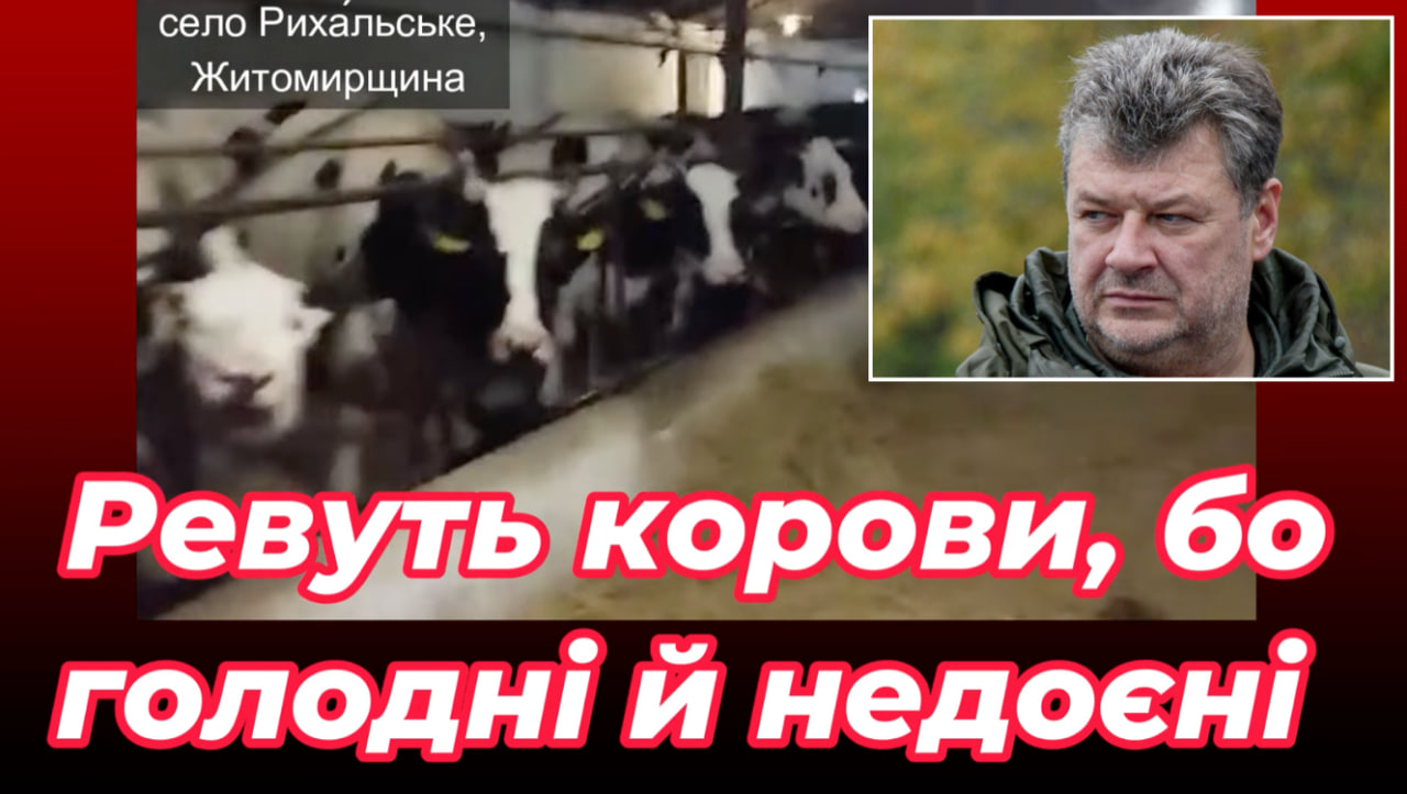 Ставленик Міндича, Віталій Бунечко знищує ДП «Рихальське» на Житомирщині