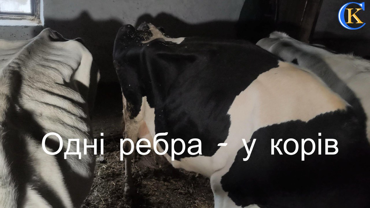 Люди у військовій формі застосували зброю проти селян на Житомирщині 1 Люди у військовій формі застосували зброю проти селян на Житомирщині